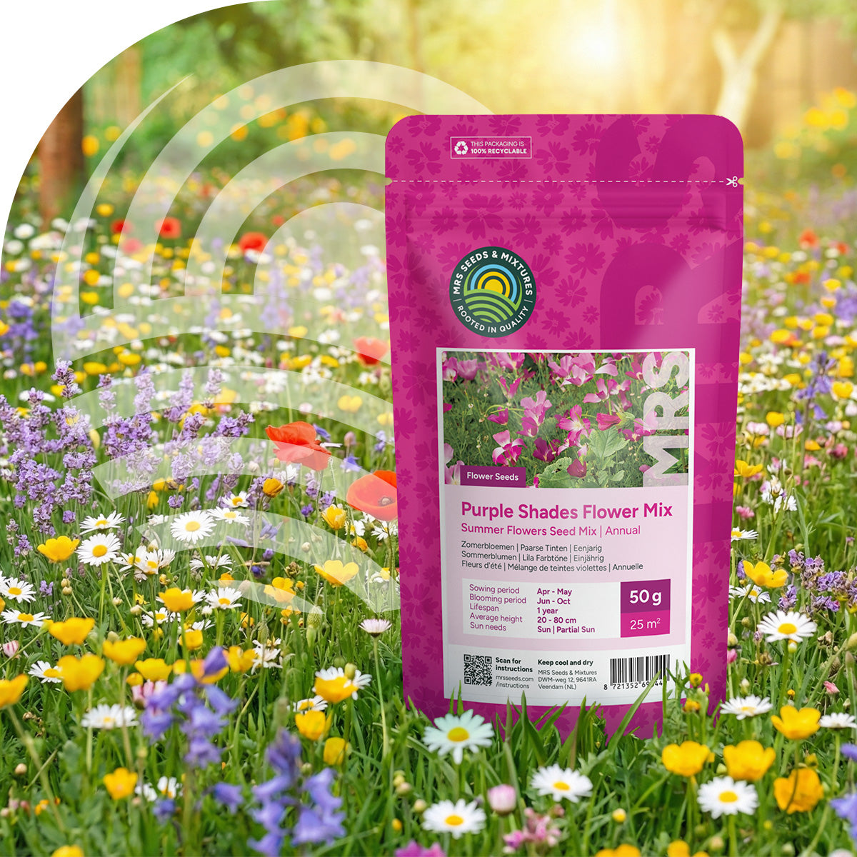 Zomerbloemen Paarse Tinten Mix