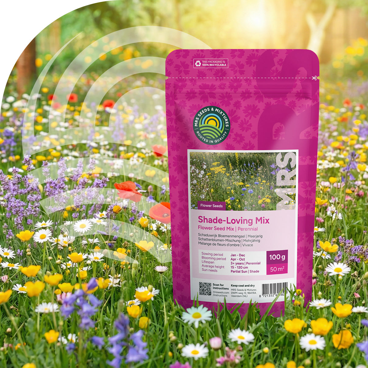 Schaduwrijk Bloemenmengsel – Meerjarig