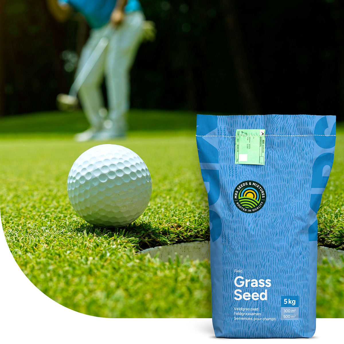 Graszaad voor golfgreens