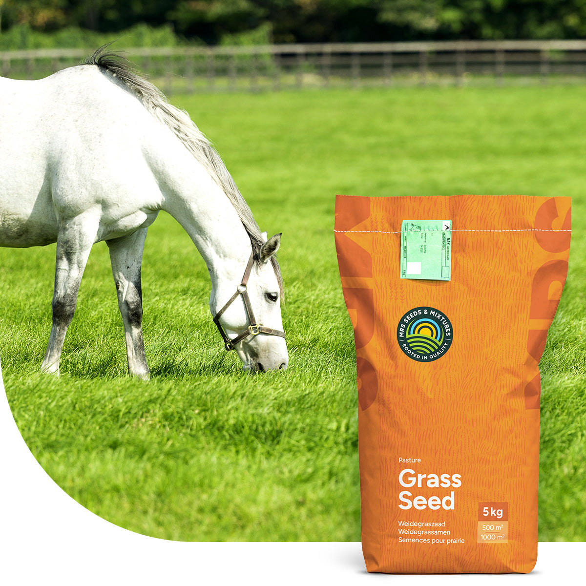 Horse - Elite mix | Paardenweide Universeel