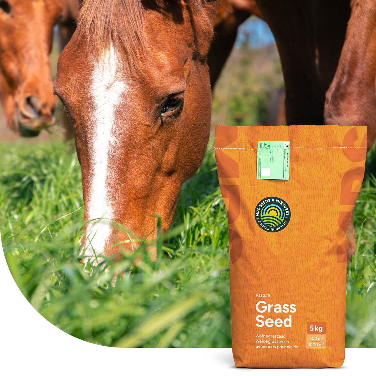 Horse – Recovery mix | Herstel Paardenweide