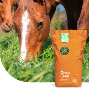 Horse – Recovery mix | Herstel Paardenweide