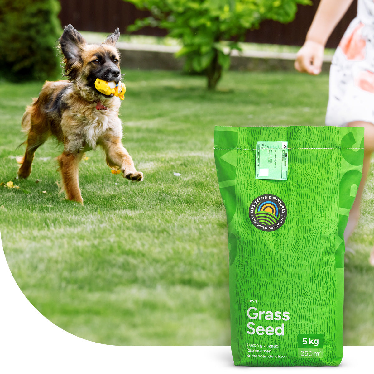 Play & Sport - Speel & Sportgazon Graszaad