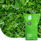 Clover Lawn – Graszaad met microklaver