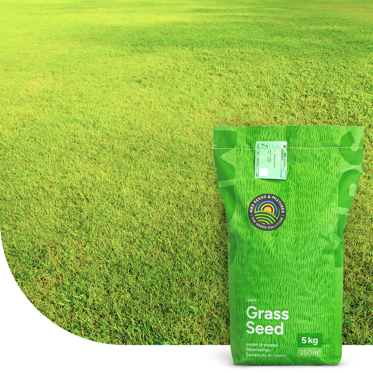 Dry & Strong – Graszaad | Versla droogte!