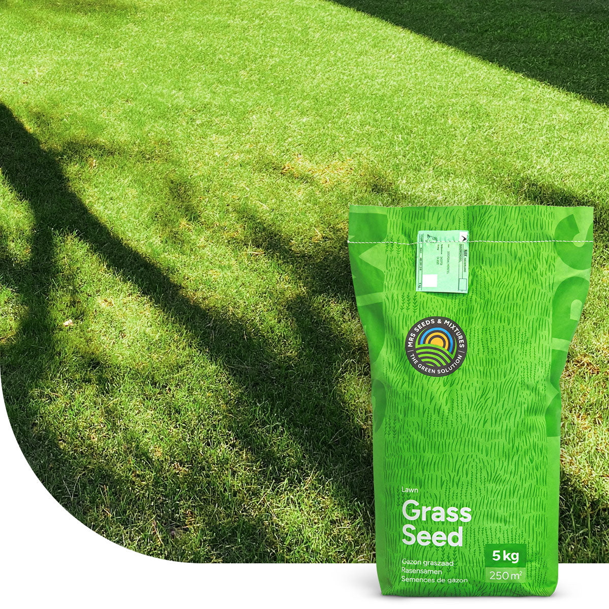 Shade & Sun - Schaduwgazon graszaad