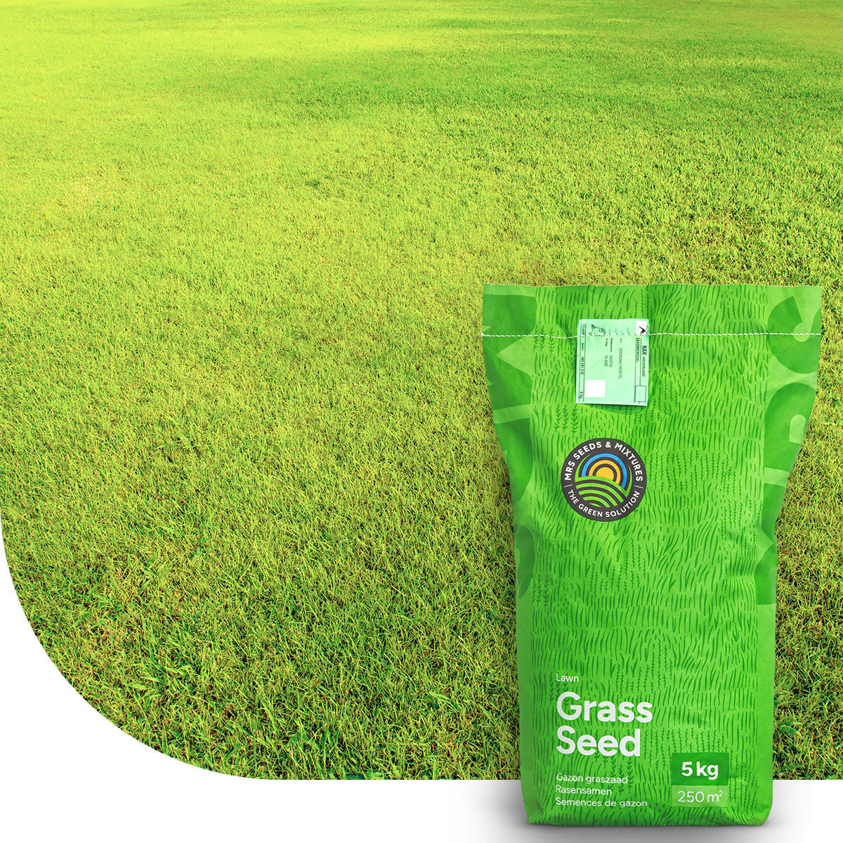 Dry & Strong - Graszaad | Versla droogte!