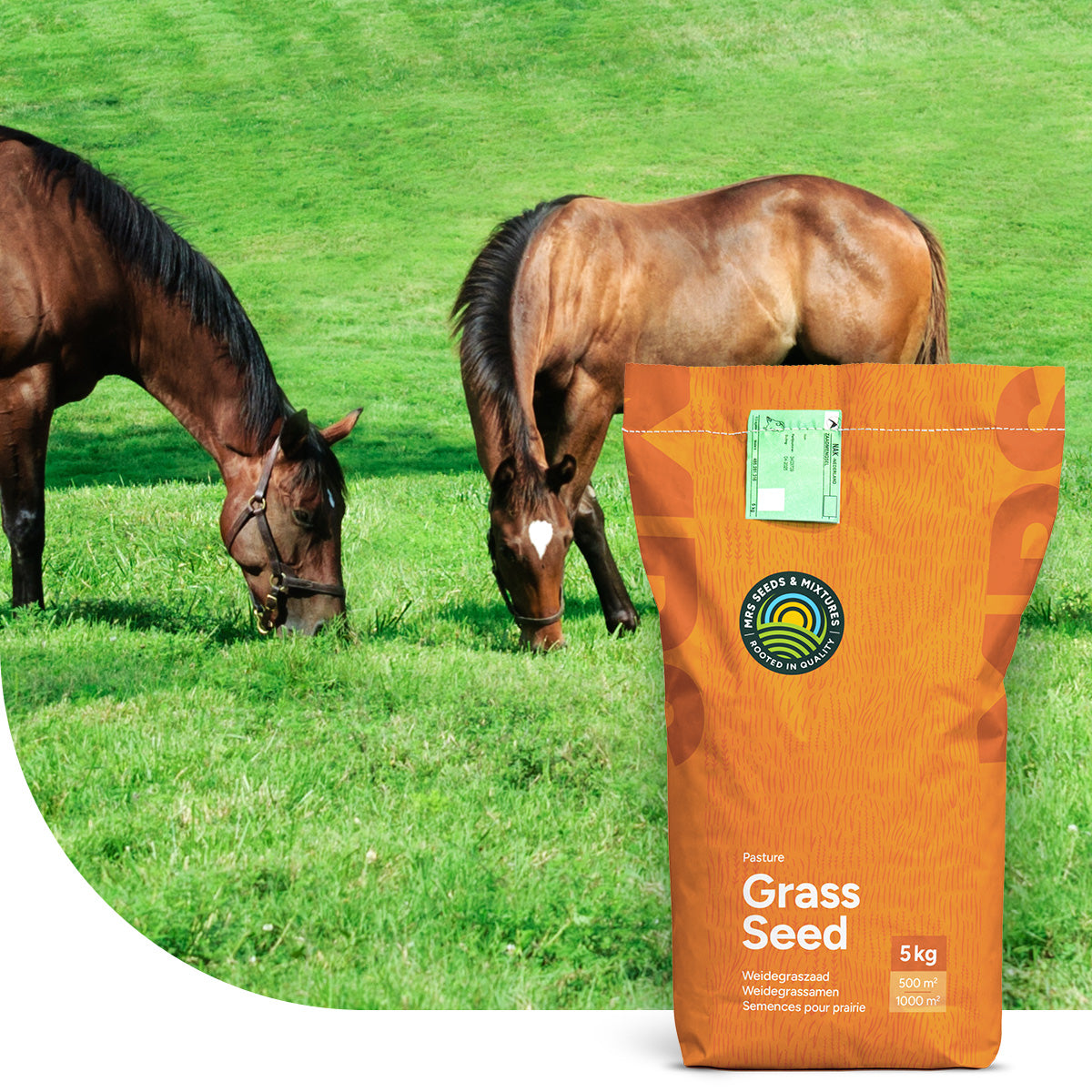 Horse Low Fructan mix | Paardenweide Laag  Fructaan