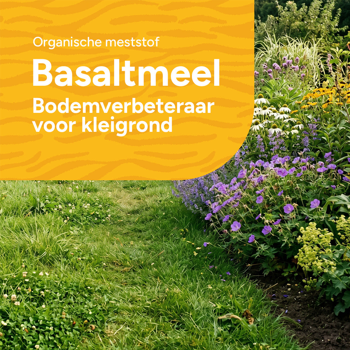 [nl]