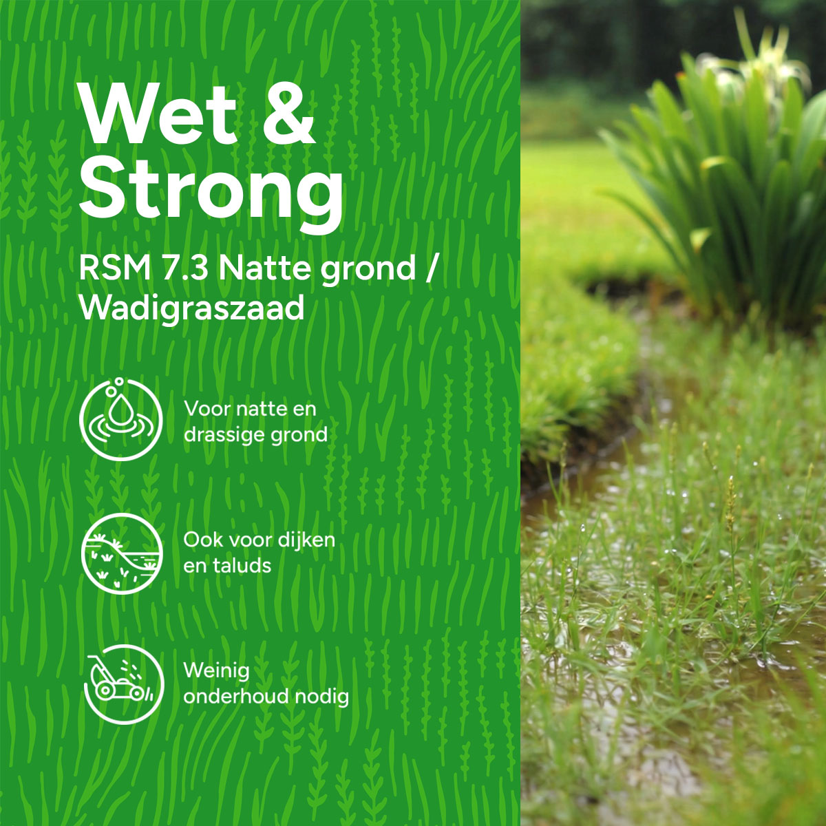 MRS-Seeds-NL-2-USPs [nl]