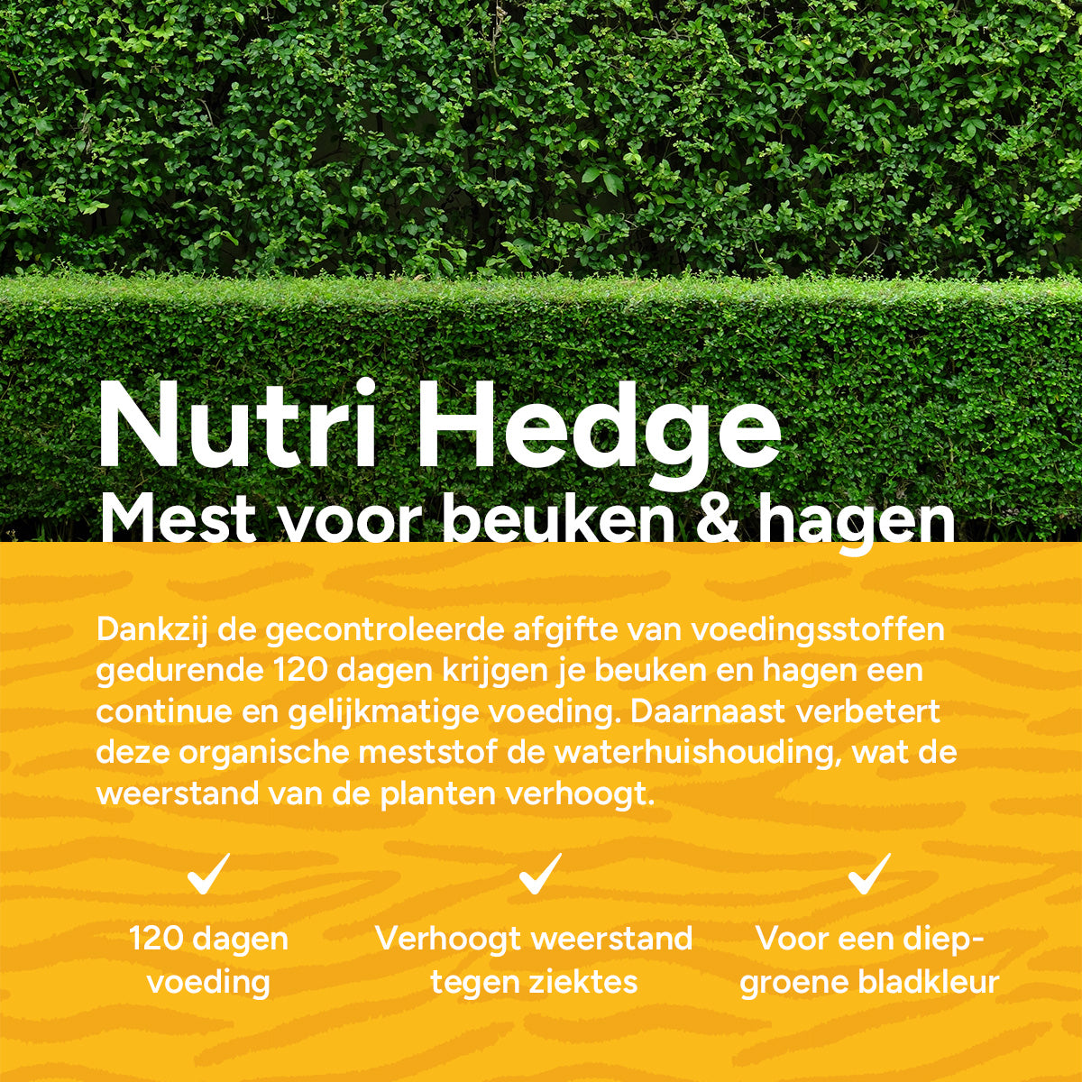 MRS Seeds & Mixtures Nutri Hedge - Organische mest Beuken & Hagen 18 kg [nl]