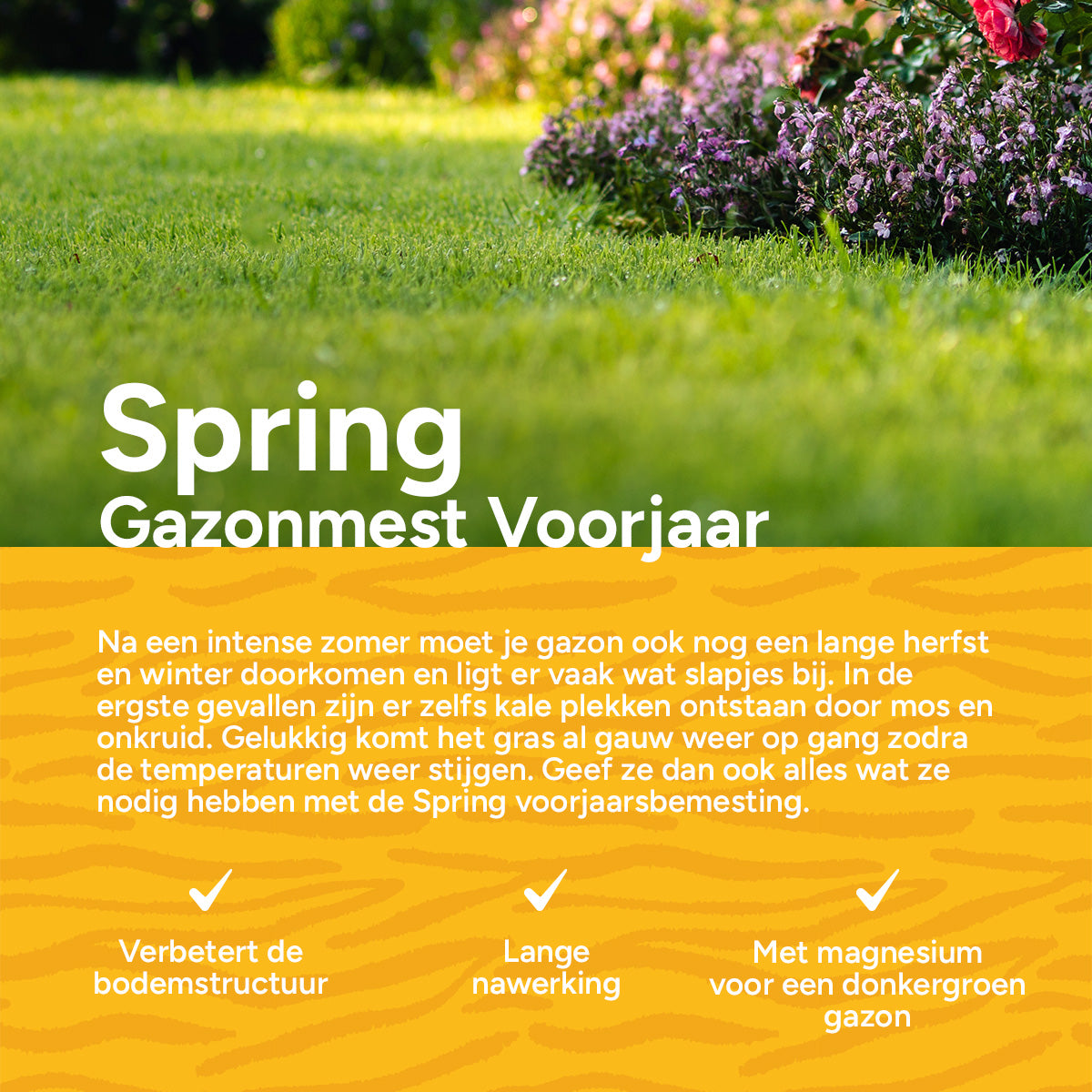 Pokon Gazonmest met Kalk 5kg voor 75m² - Gazonmeststof, Gazonkalk Pokon Gazonmest met Kalk 5kg voor 75m² - Gazonmeststof, Gazonkalk