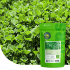 MRS-Seeds-NL-Hoofdfoto [nl] [fr]