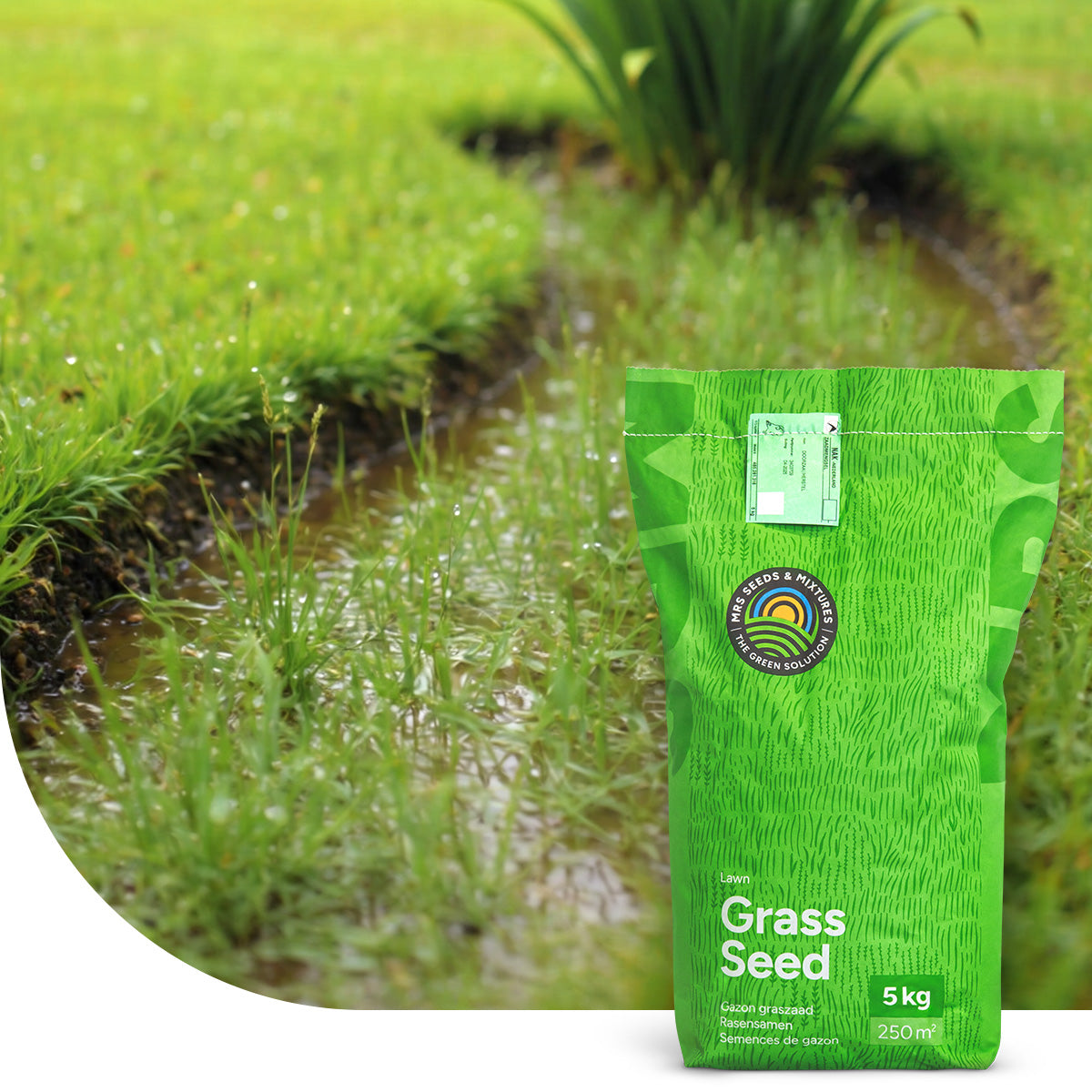 Wet & Strong - RSM 7.3 Natte grond / Wadigraszaad