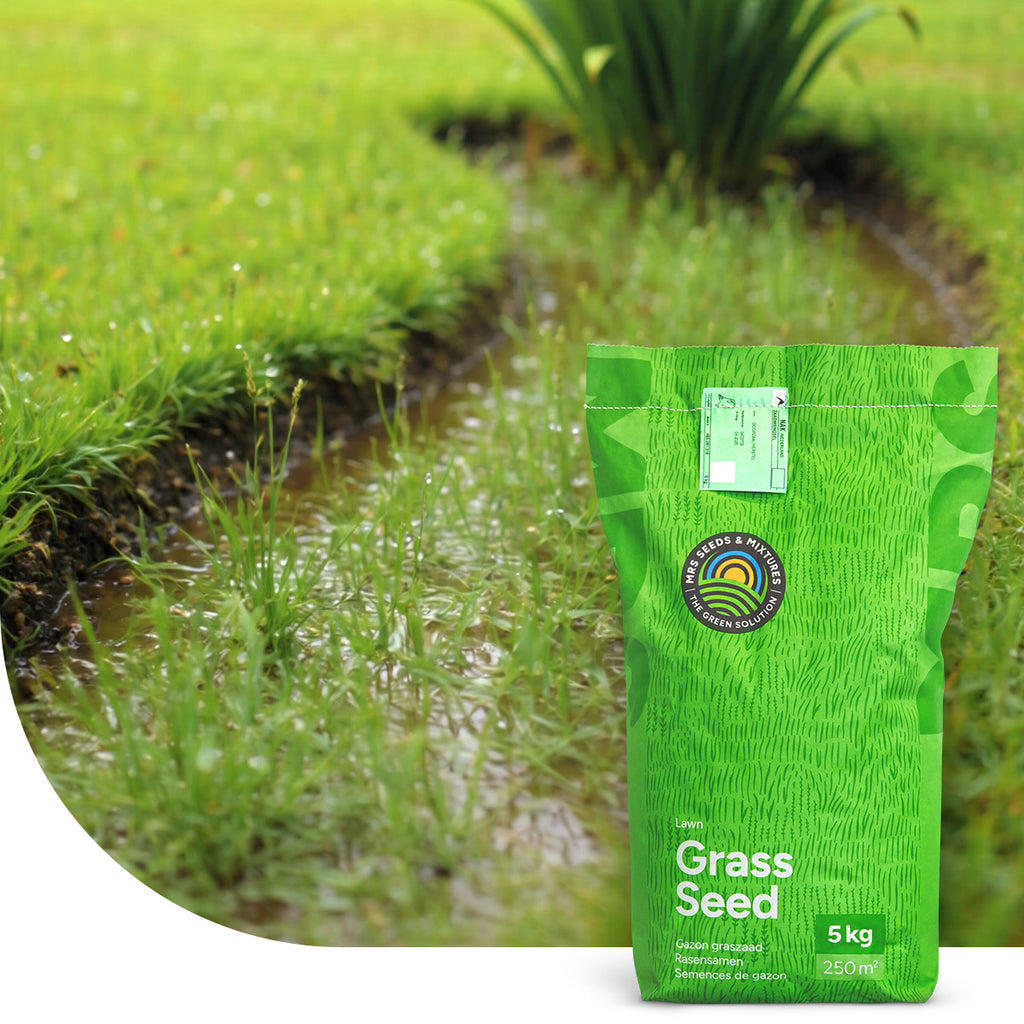 Wet & Strong - RSM 7.3 Natte grond / Wadigraszaad