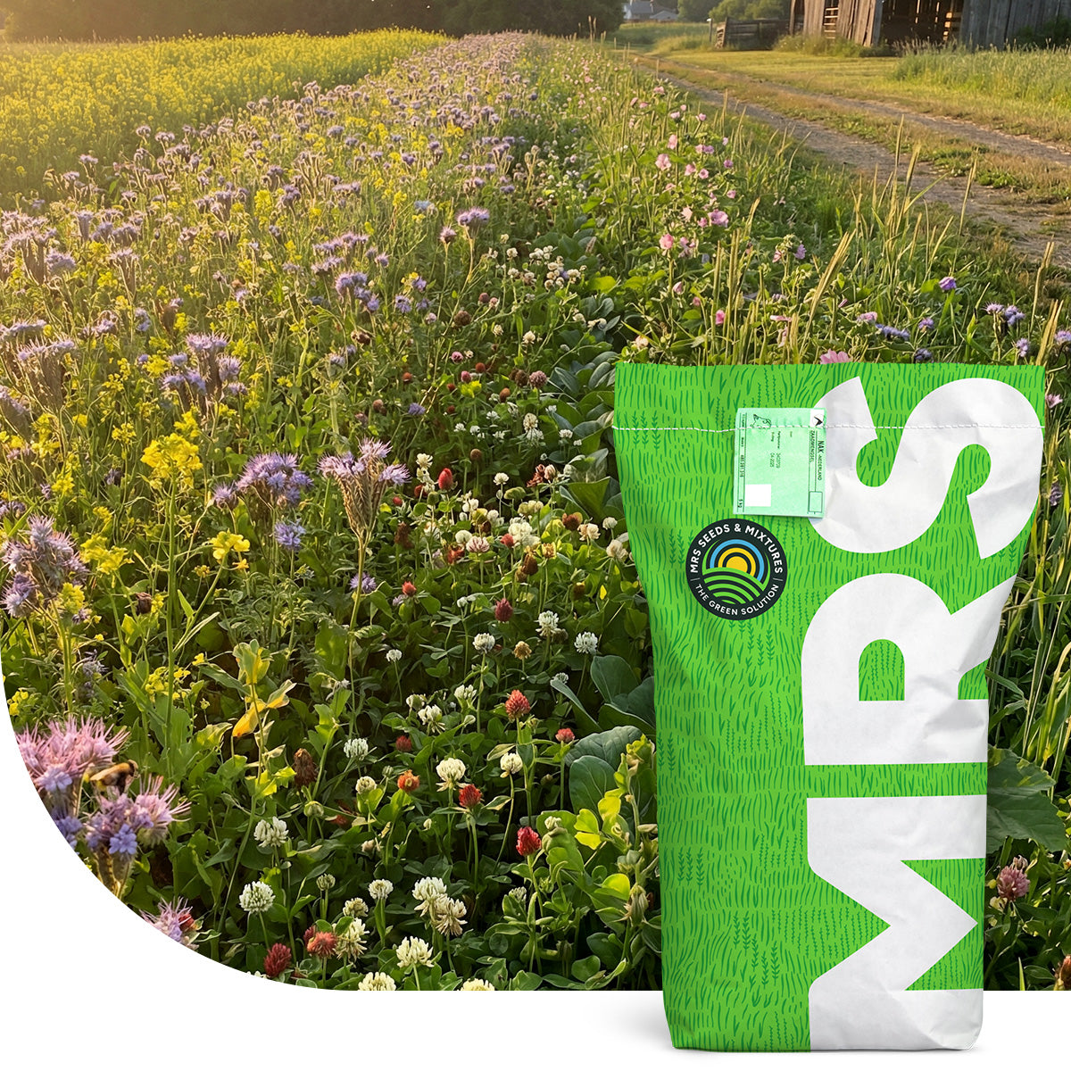 Wildakkermengsel - eenjarig