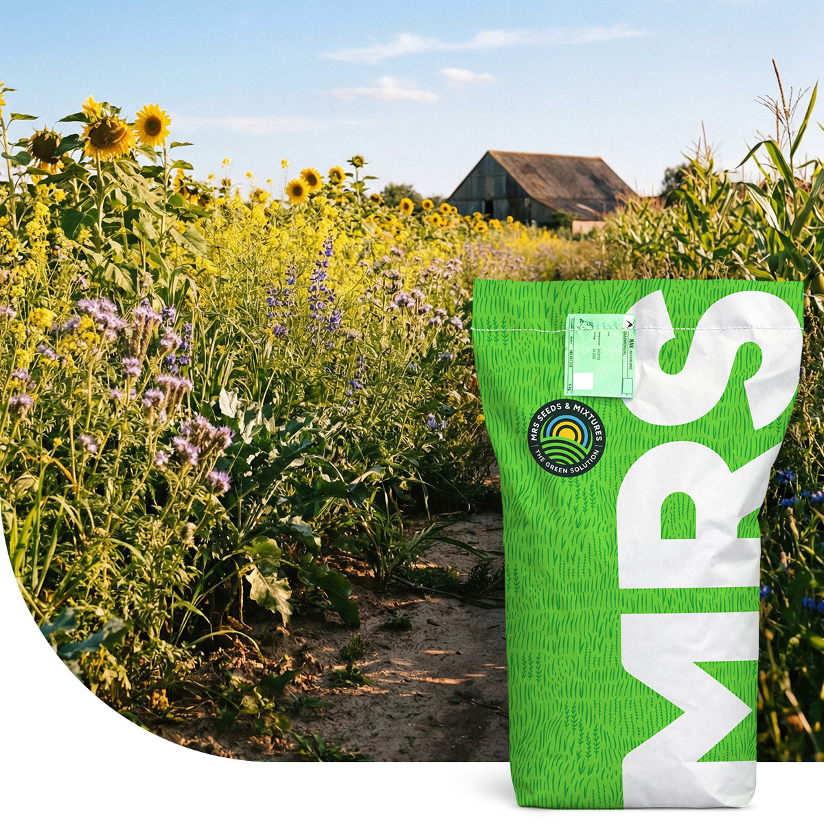 Wildakkermengsel Gevogelte