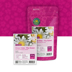 Margriet – Chrysanthemum vulgare