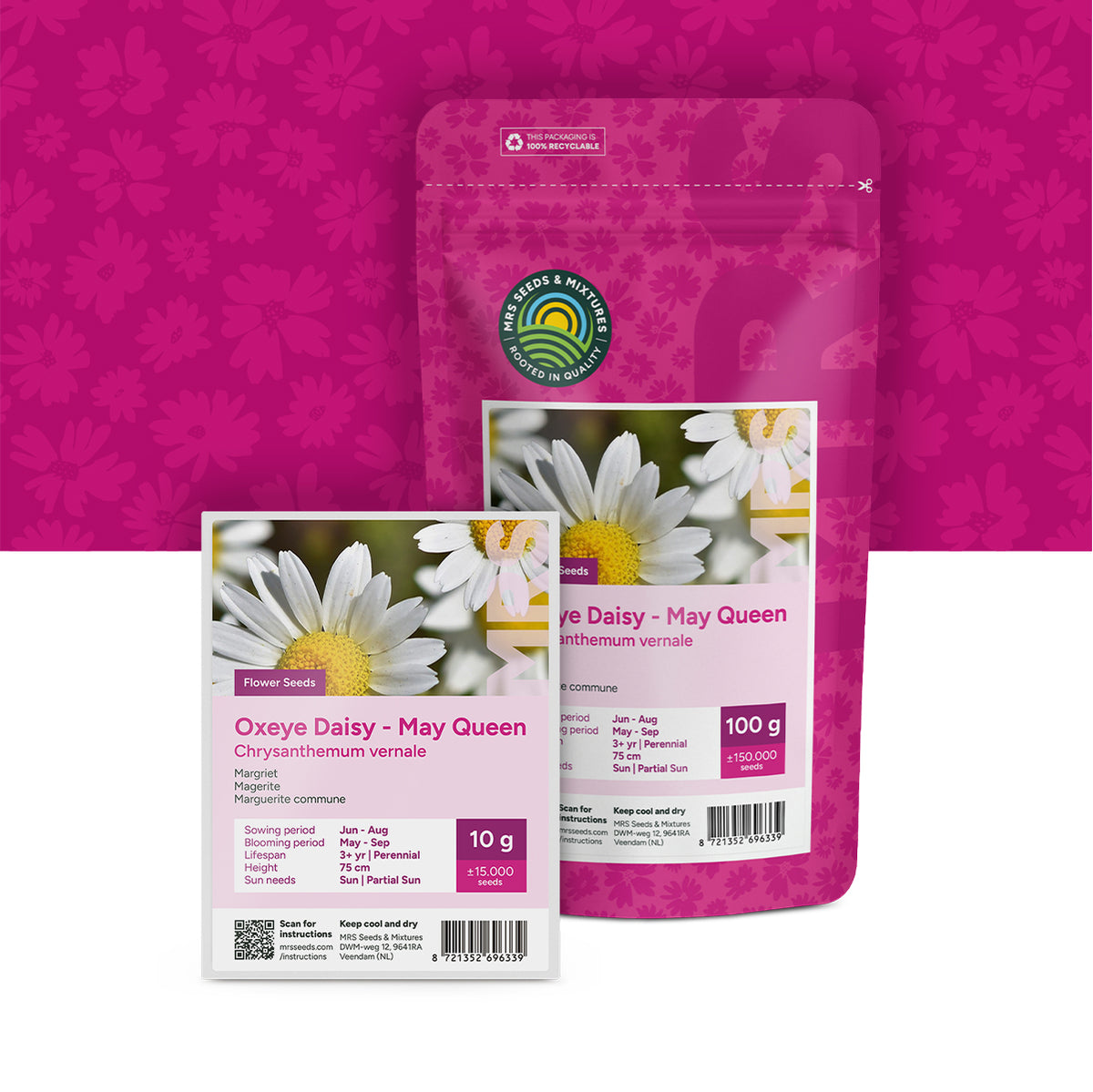 Margriet – Chrysanthemum vernale