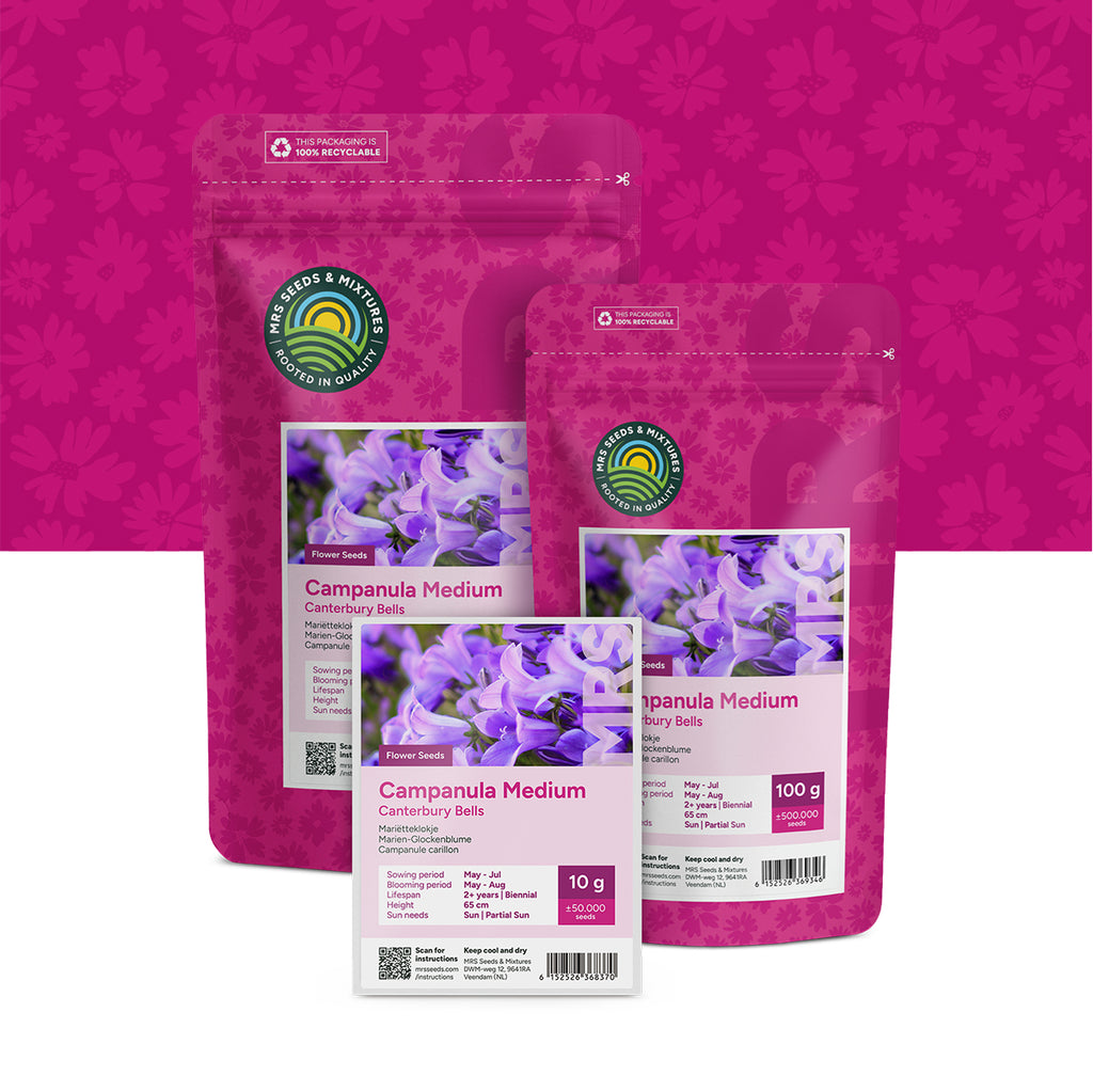 Mariëtteklokje – Campanula medium