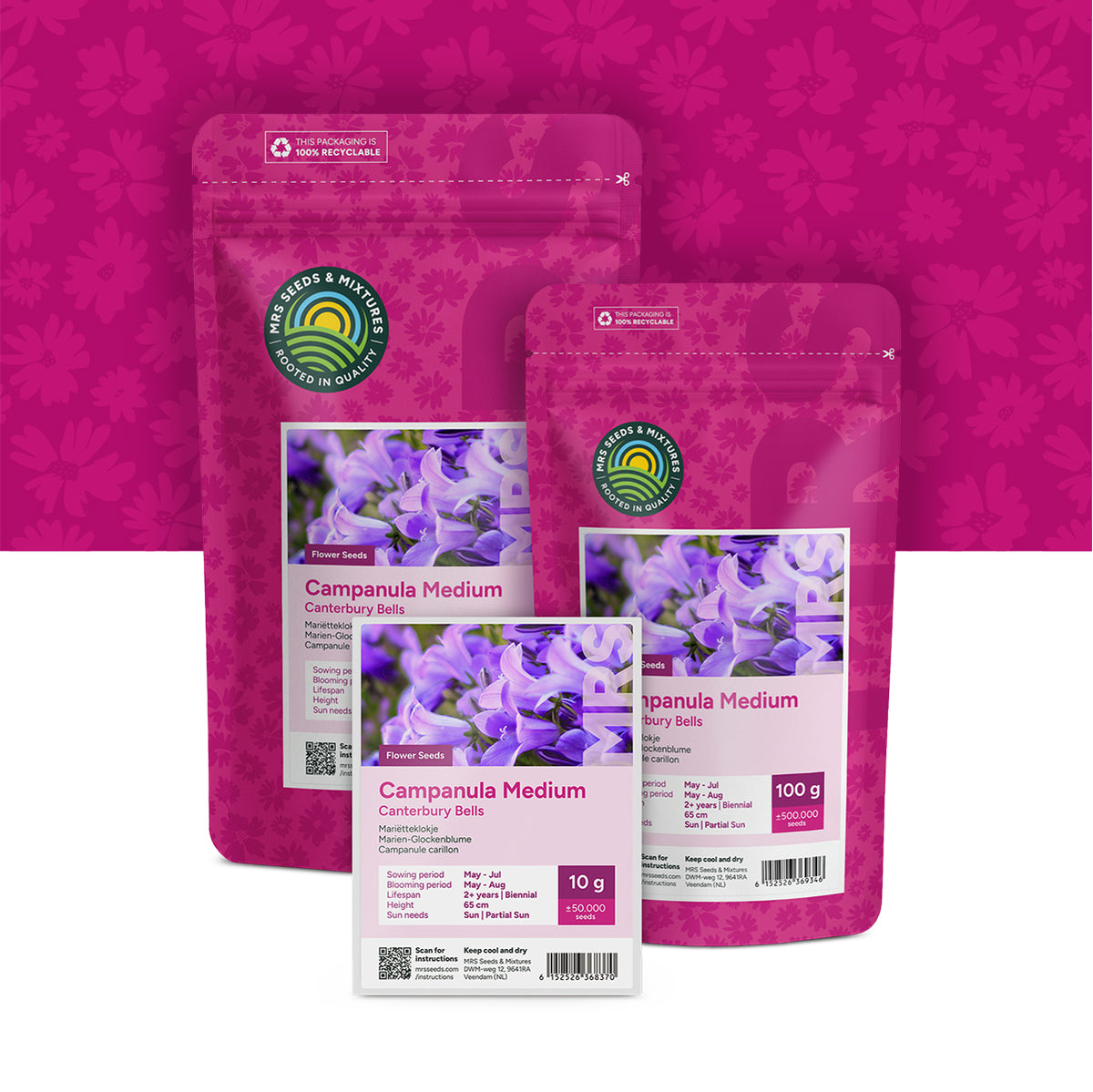 Mariëtteklokje – Campanula medium