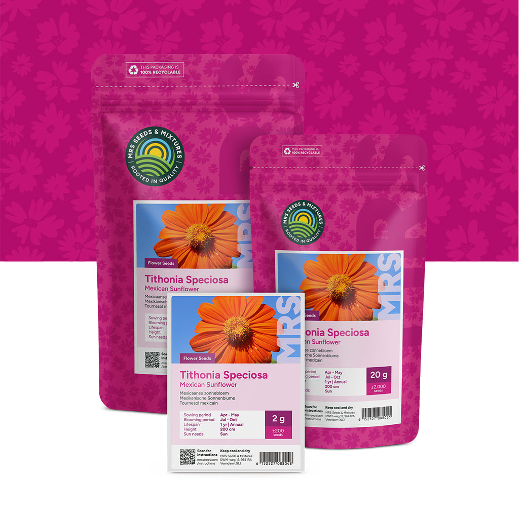 Mexicaanse zonnebloem – Tithonia speciosa
