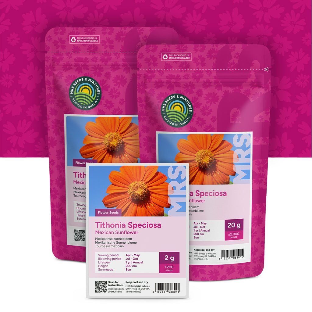 Mexicaanse zonnebloem – Tithonia speciosa