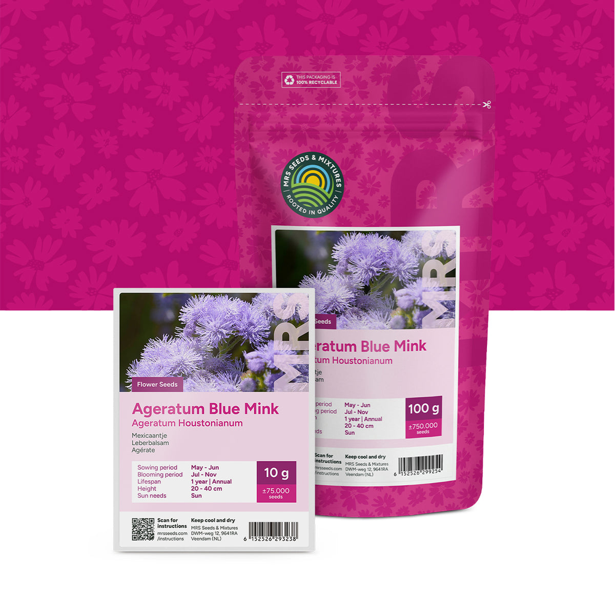 Mexicaantje – Ageratum houstonianum mix