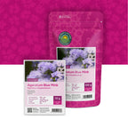 Mexicaantje – Ageratum houstonianum mix