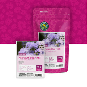 Mexicaantje – Ageratum houstonianum mix