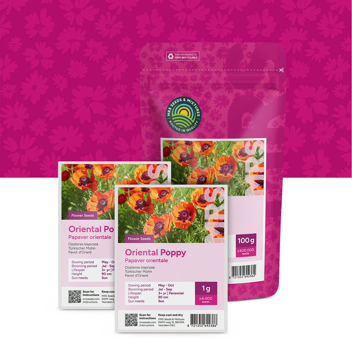 Oosterse klaproos – Papaver orientale
