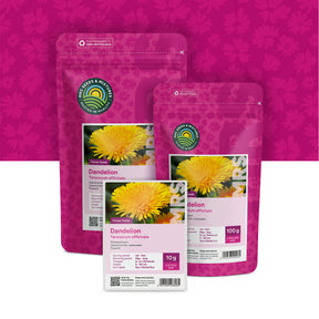Paardenbloem – Taraxacum officinale