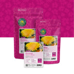 Paardenbloem – Taraxacum officinale