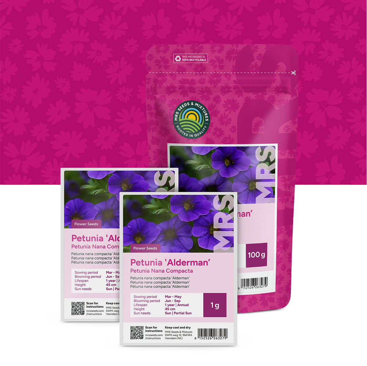 Petunia nana compacta – Alderman