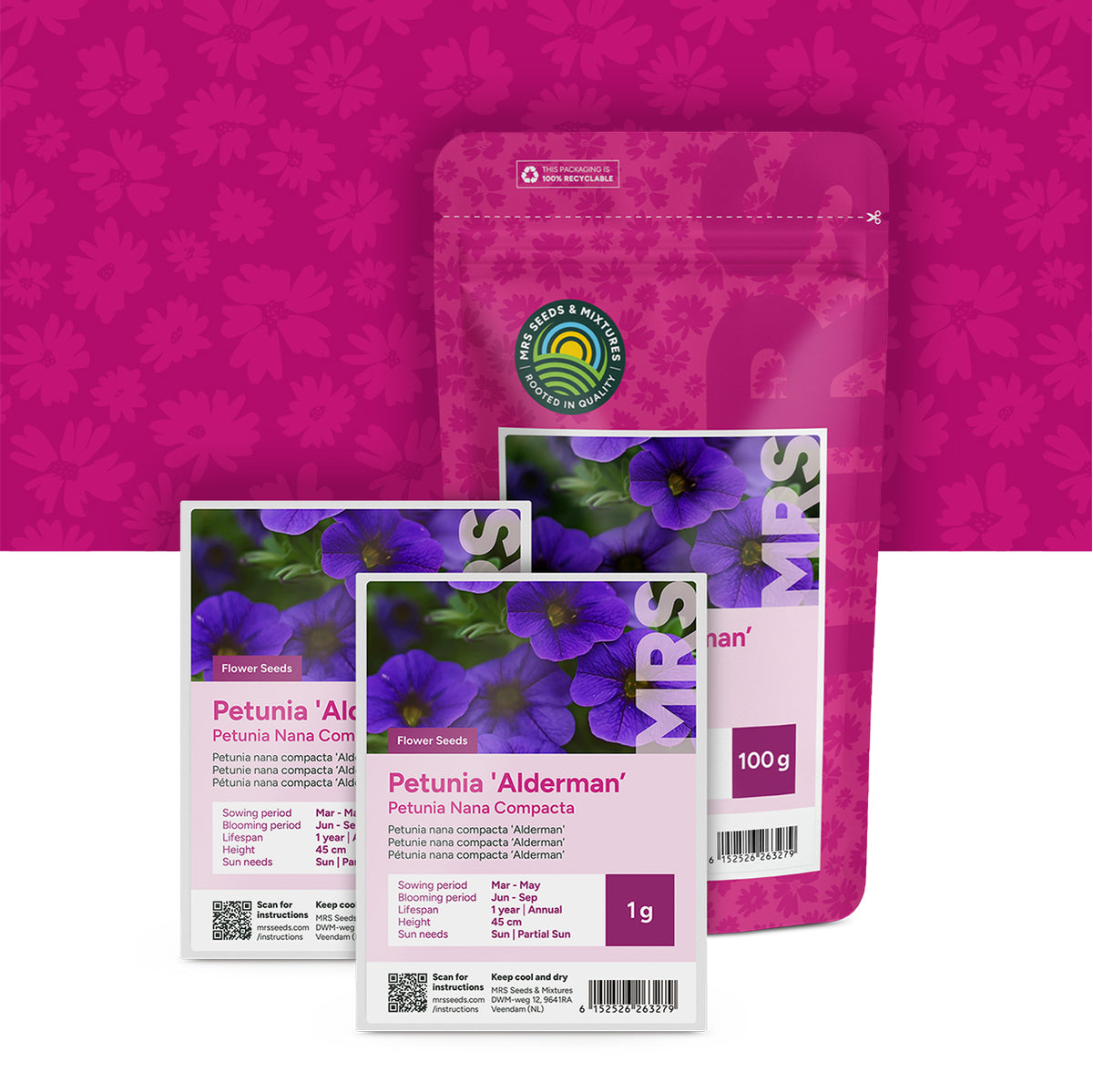Petunia nana compacta – Alderman
