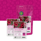 Petunia nana compacta – Fire Chief