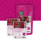 Petunia nana compacta – Fire Chief