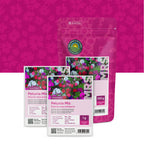 Petunia nana compacta – Mix
