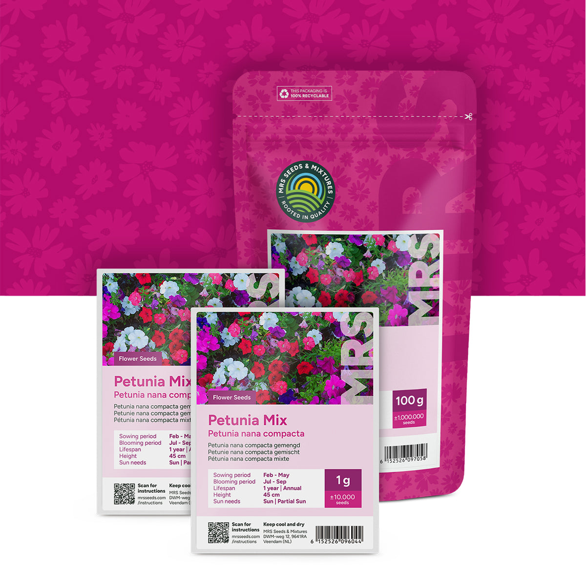 Petunia nana compacta – Mix