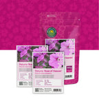 Petunia nana compacta – Rose of Heaven