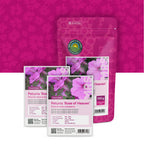 Petunia nana compacta – Rose of Heaven