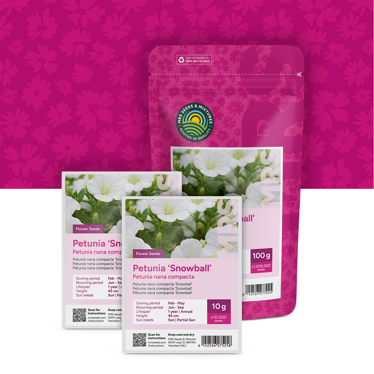Petunia nana compacta – Snowball