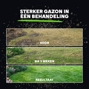 [nl]