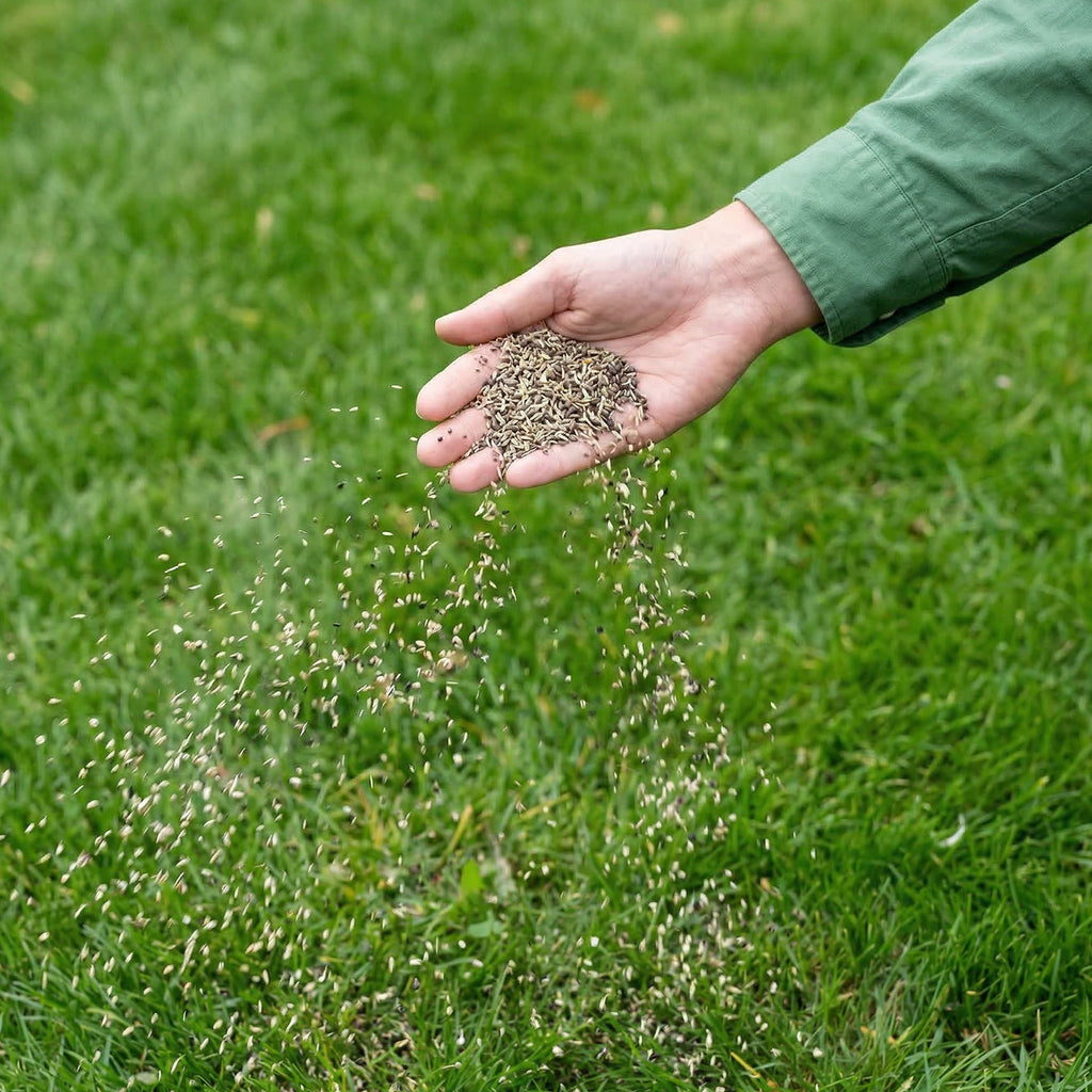 Power Lawn – All-in-One Gazonpakket