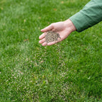 Power Lawn – All-in-One Gazonpakket