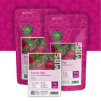 Rode Vlas – Linum Rubrum Grandiflorum