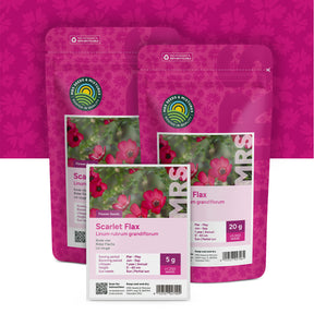 Rode Vlas – Linum Rubrum Grandiflorum