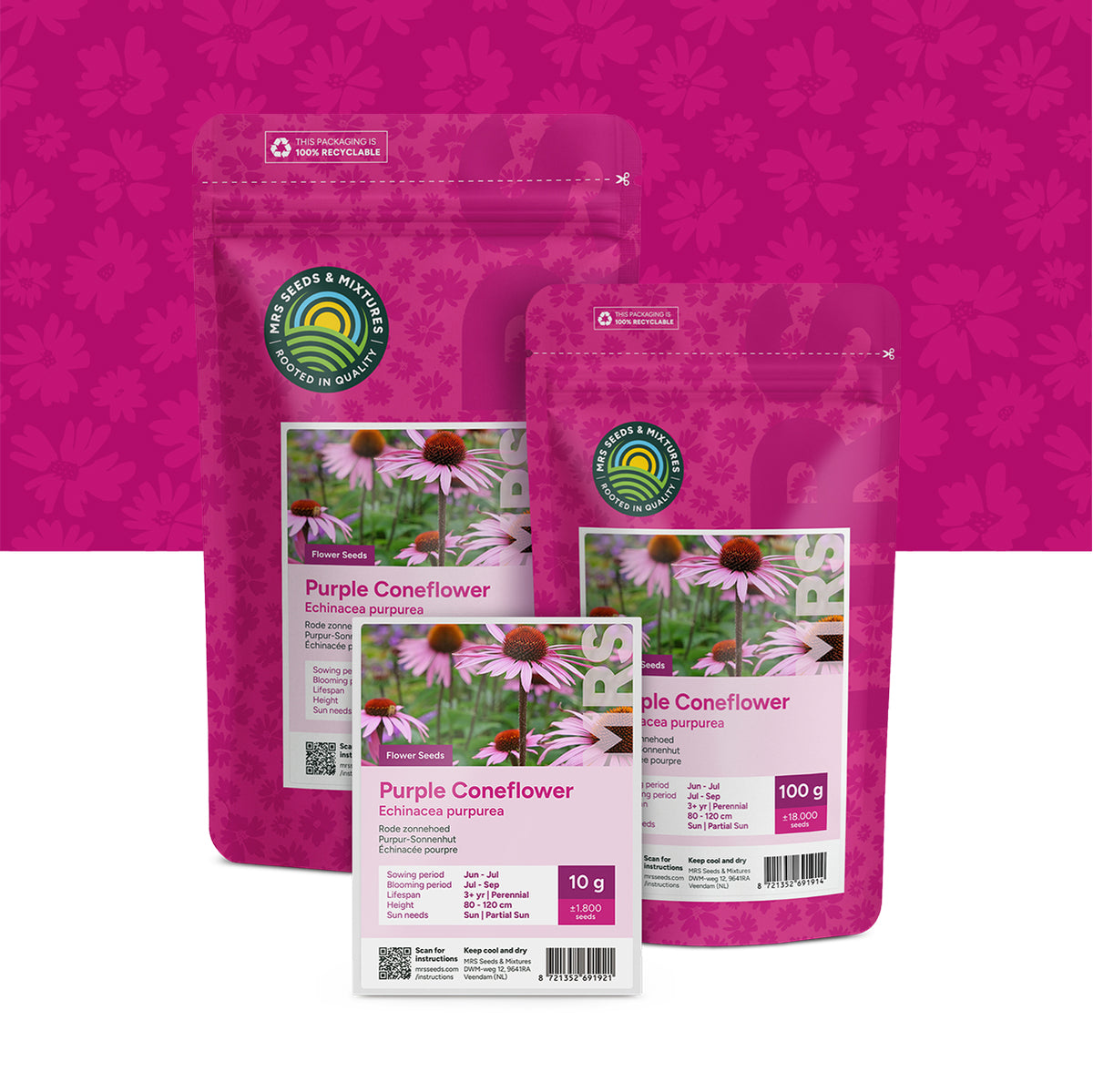 Rode zonnehoed – 'Echinacea purpurea'