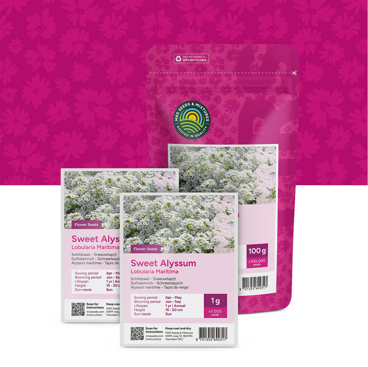 Schildzaad 'Sneeuwtapijt' – Alyssum Lobularia
