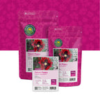 Slaapbol – Papaver Somniferum – Maanzaad